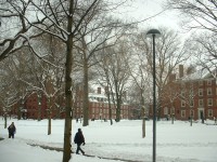 harvard