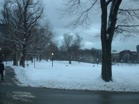 beacon hill
