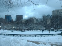 beacon hill