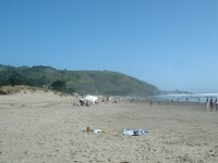 stinson beach