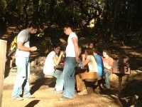 mt tam