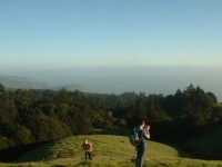 mt tam