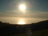 mt tam
