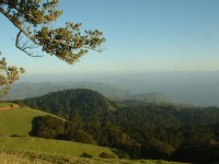 mt tam