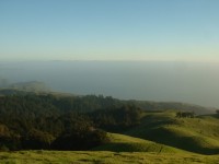 mt tam