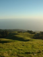 mt tam