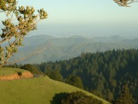 mt tam