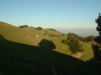 mt tam