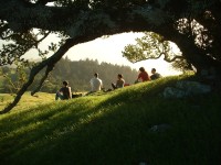 mt tam