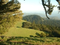 mt tam