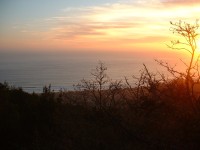 mt tam