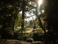 uc berkeley