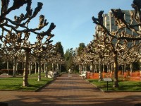 uc berkeley