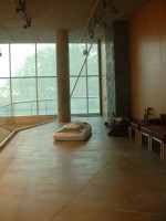 joseph hammer + sayo mitsuishi