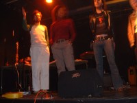 stephanie rothenberg