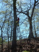 bob wagner & teresa duggan